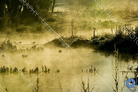 Frosty Morning